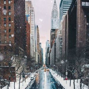 Meet your Posher, Teri